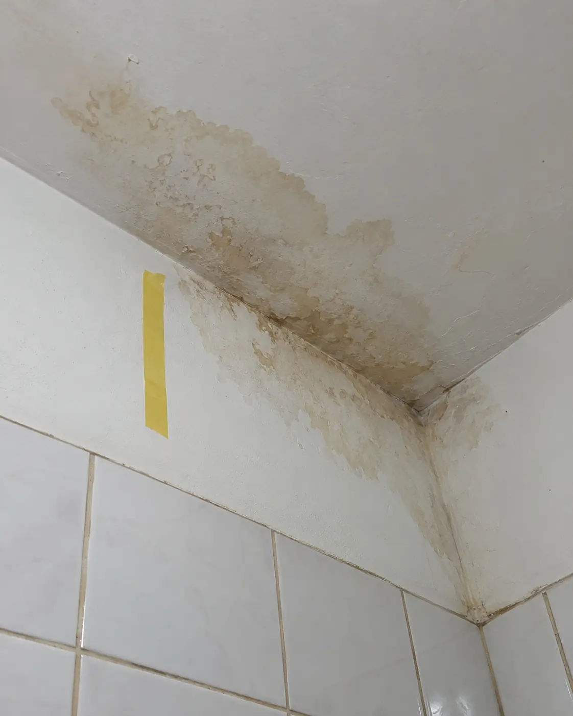 Infiltração no teto